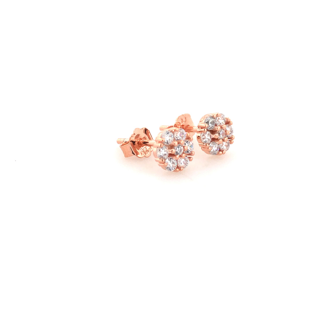 TINY NAKSHATRA STUDS