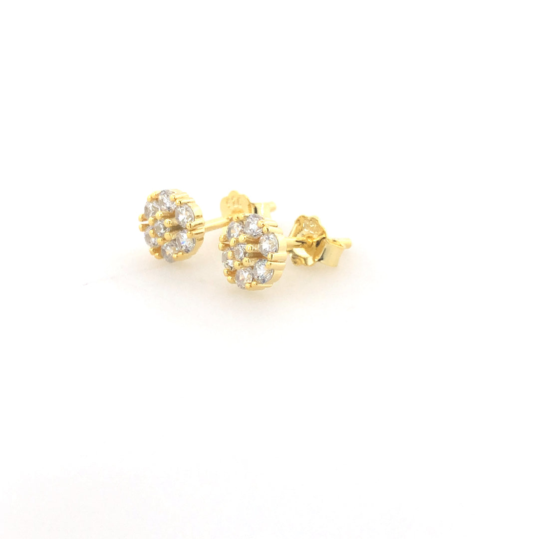 TINY NAKSHATRA STUDS